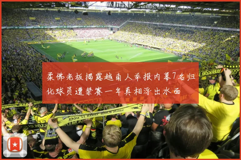 柔佛老板揭露越南人举报内幕7名归化球员遭禁赛一年真相浮出水面