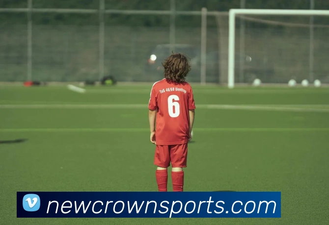 皇冠体育平台生态图